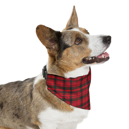 Red Plaid - Pet Bandana Collar